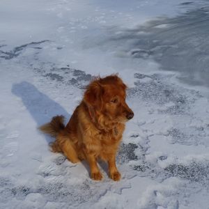 Meet your Posher, Kevin